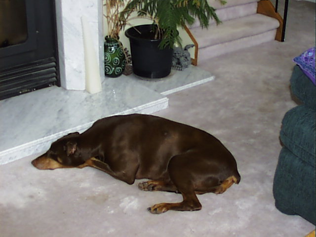 Mocha Mocha Mocha! (I miss Mocha)